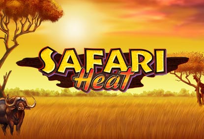   Safari Heat